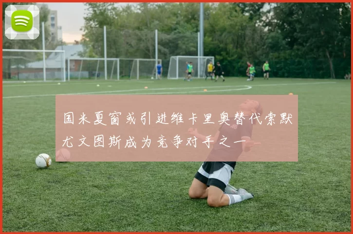 国米夏窗或引进维卡里奥替代索默尤文图斯成为竞争对手之一